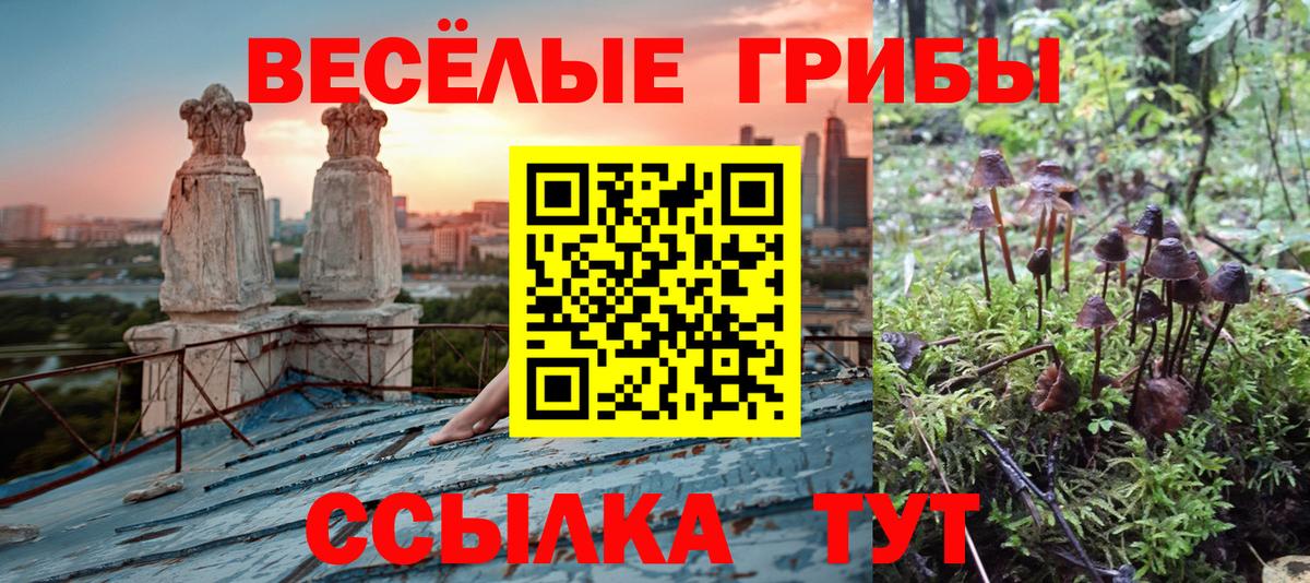 Норильск  Псилоцибиновые грибы прущие грибы  Вход с VPN 